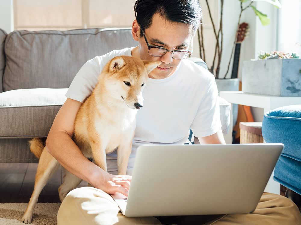 Pet Loss Coach Training Online How to Support Grieving Pet Owners with Compassion and Expertise